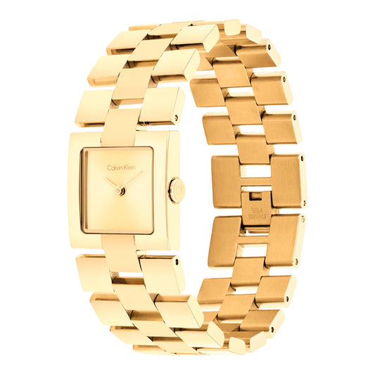 Reloj Calvin Klein 25100089