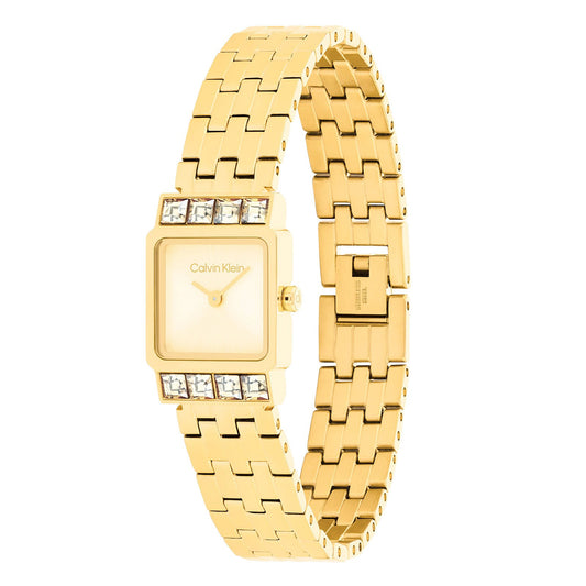 Reloj Calvin Klein 25100162
