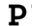 Pulso logo
