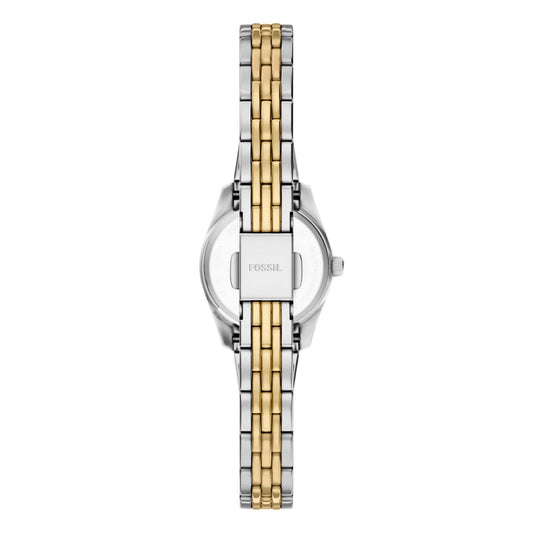 Reloj Fossil ES5473